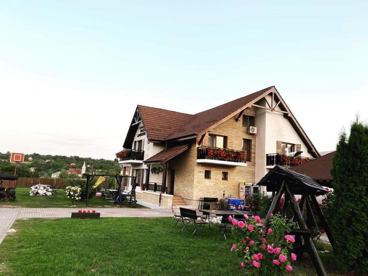 Vila Oaza Apusenilor Calarasi  Exteriér fotografie