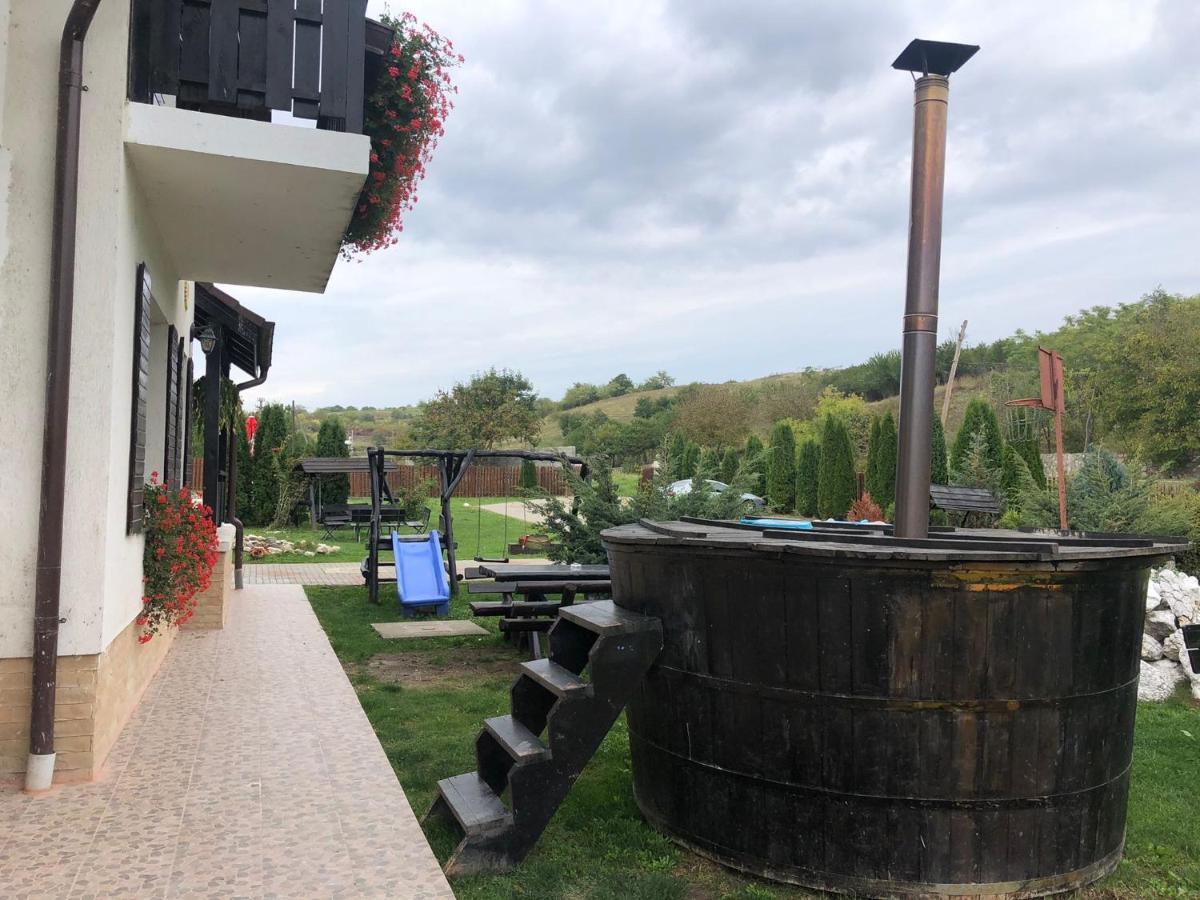 Vila Oaza Apusenilor Calarasi  Exteriér fotografie