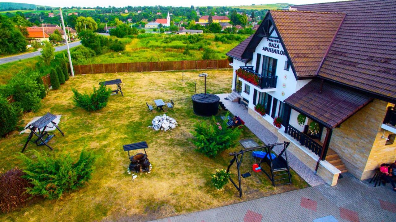 Vila Oaza Apusenilor Calarasi  Exteriér fotografie