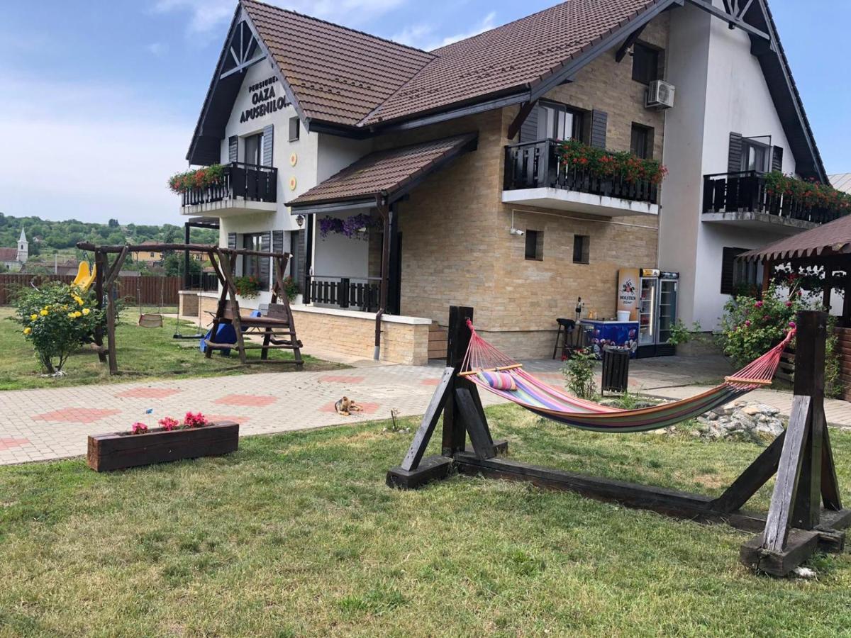 Vila Oaza Apusenilor Calarasi  Exteriér fotografie